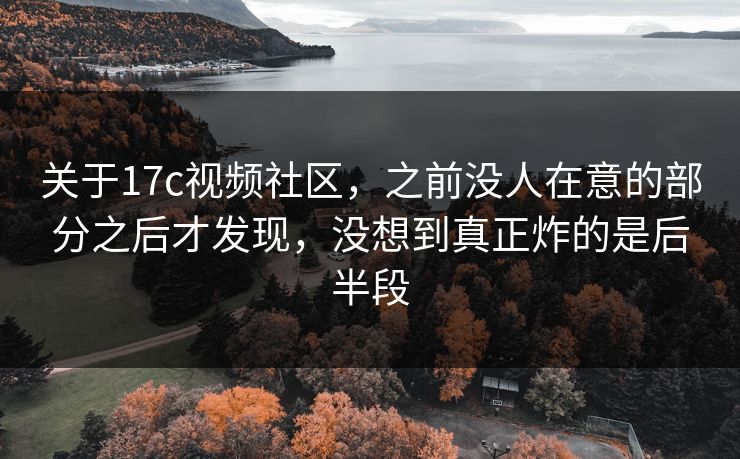 关于17c视频社区,之前没人在意的部分之后才发现,没想到真正炸的是后半段 关于17c视频社区,之前没人在意的部分之后才发现,没想到真正炸的是后半段