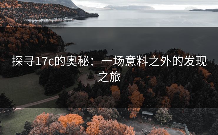 探寻17c的奥秘：一场意料之外的发现之旅