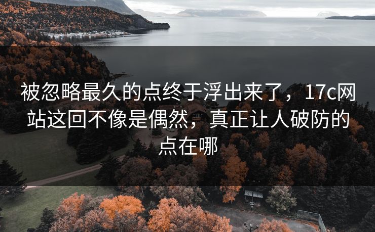 被忽略最久的点终于浮出来了，17c网站这回不像是偶然，真正让人破防的点在哪