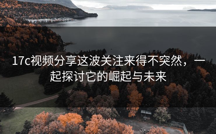 17c视频分享这波关注来得不突然，一起探讨它的崛起与未来