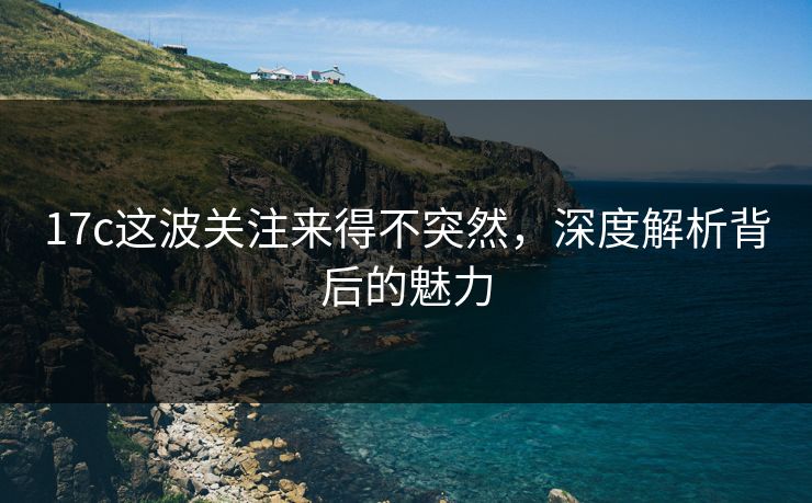 17c这波关注来得不突然，深度解析背后的魅力