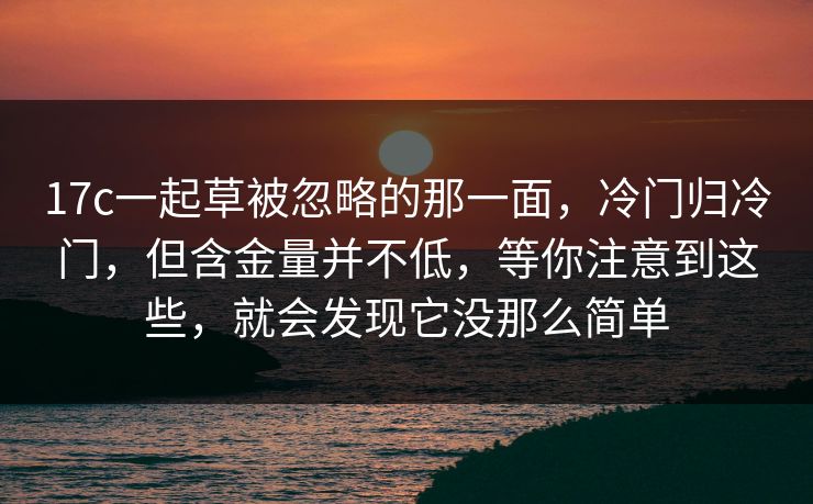 17c一起草被忽略的那一面，冷门归冷门，但含金量并不低，等你注意到这些，就会发现它没那么简单