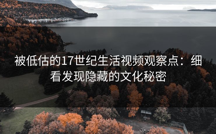 被低估的17世纪生活视频观察点:细看发现隐藏的文化秘密 被低估的17世纪生活视频观察点:细看发现隐藏的文化秘密
