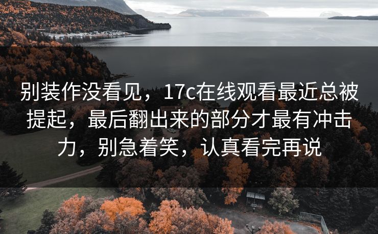 别装作没看见，17c在线观看最近总被提起，最后翻出来的部分才最有冲击力，别急着笑，认真看完再说