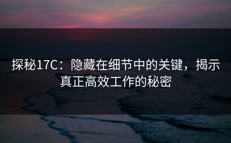 探秘17C：隐藏在细节中的关键，揭示真正高效工作的秘密